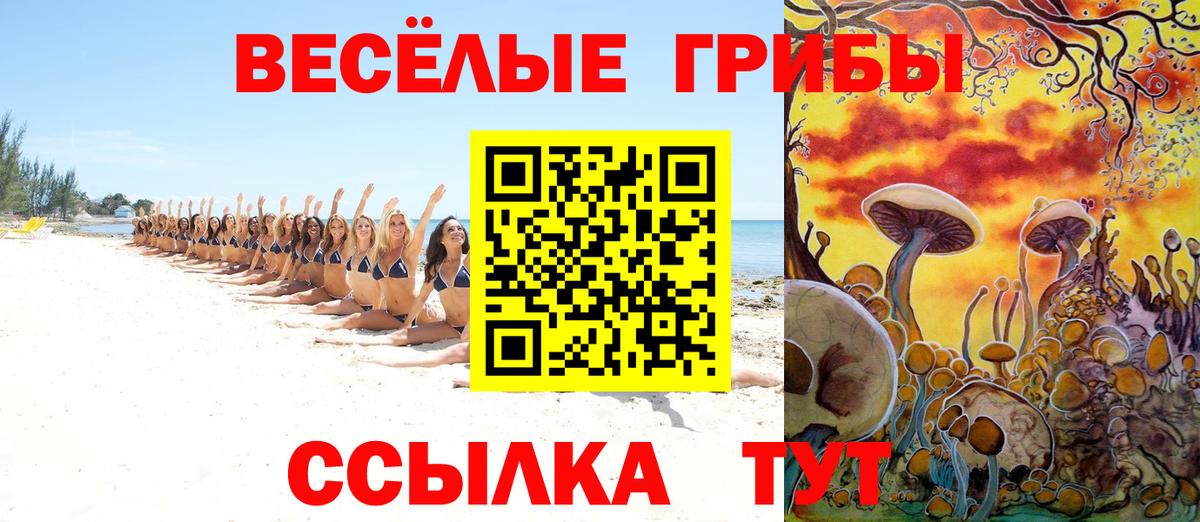 Галлюциногенные грибы прущие грибы Можайск