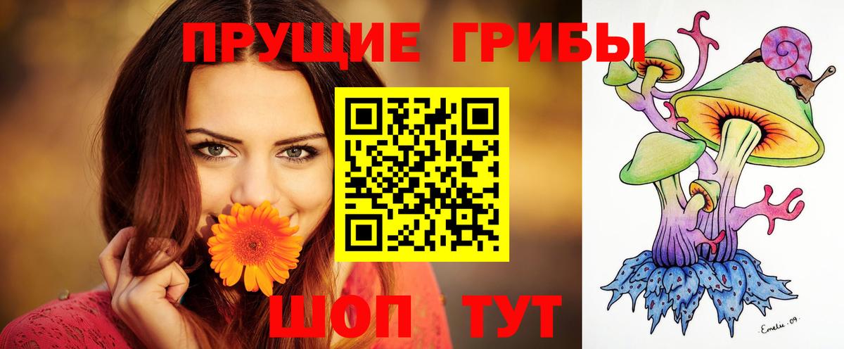 Галлюциногенные грибы GOLDEN TEACHER  Вход с VPN  Можайск 